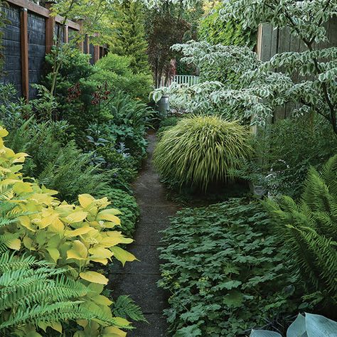 How to Design a Serene and Immersive Garden Oasis - FineGardening Formal Shade Garden, Juniper Garden, Wooded Backyard Landscape, Suburban Backyard, Oasis Garden, Garden Landscaping Design Ideas, Diy Garden Landscaping, Foliage Garden, Fine Gardening Magazine