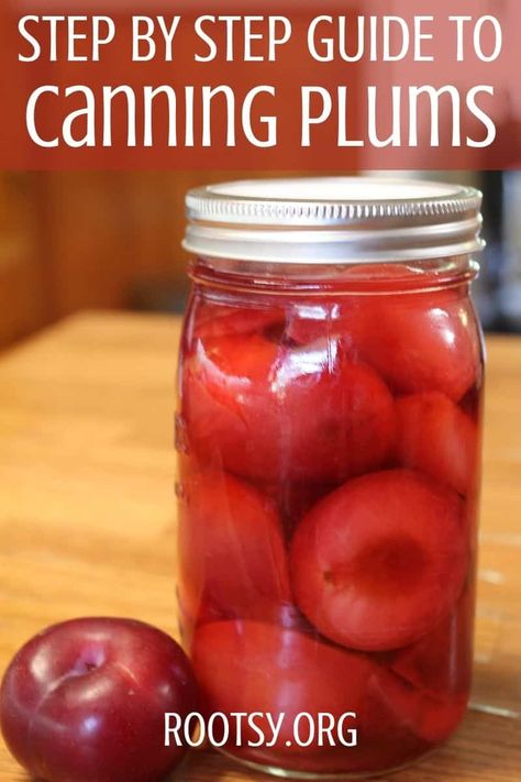 Canning Pineapple, Canning Plums, Canning Fruit Recipes, Attainable Sustainable, Plum Butter, Water Bath Canning Recipes, Canned Plums, Survival Preparedness, Canning Fruit