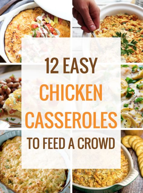 Chicken Dinners For A Crowd, Chicken Recipes For Crowd, Casserole For Large Group, Chicken Potluck Recipes, Casserole Recipes For A Crowd, Chicken Recipes For A Crowd, Budget Casseroles, Easy Chicken Casseroles, Chicken For A Crowd