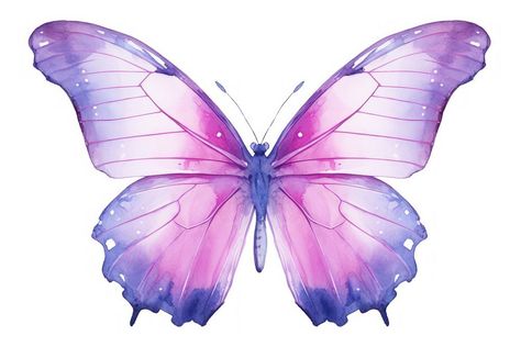 Butterfly insect animal purple. AI generated Image by rawpixel. | premium image by rawpixel.com / Minty Purple Butterfly Aesthetic, Image Of Butterfly, Butterfly Theme Cake, Lilac Aesthetic, Png Butterfly, Dragon Flys, Butterfly Aesthetic, Animal Body Parts, Aesthetic Butterfly