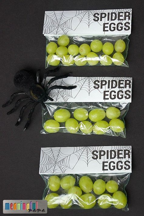 Halloween Food Ideas For Kids, Halloween Classroom Treats, Spider Unit, Spider Eggs, Food Ideas For Kids, Healthy Halloween Food, Kids Halloween Food, Halloween School Treats, Halloween Food Ideas