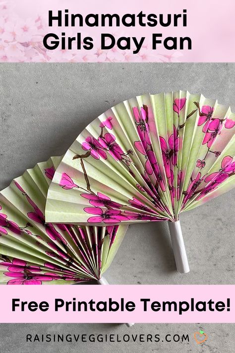 Make these cute Japanese fans with your kids in honor of Girls’ Day. A free printable guide is included to make this an easy craft! #hinamatsuri #girlsday #kidscrafts #japanesecrafts #papercrafts #paperfan #printable #freeprintable Japanese Art Projects For Middle School, Diy Japanese Fan, Hinamatsuri Crafts, Japanese Decorations Party, Japanese Crafts Traditional, Girls Day Japan, Japan Lesson, Japanese Party Decorations, Ninja Crafts