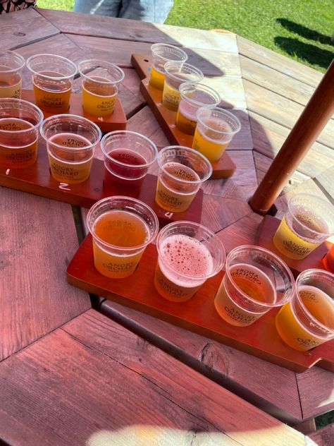 Many small tasting cups of various hard ciders on the picnic table outside on a beautiful fall day Nyc Fall Aesthetic, Nyc Day Trip, Day Trip To Nyc, Angry Orchard, Apple Recipe, Cider House, Fall Girl, Nyc Fall, Fall Dates