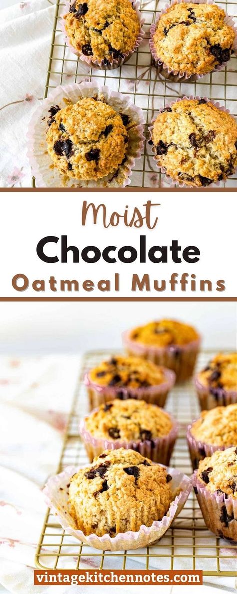 Chocolate Chip Recipes Easy, Chocolate Oatmeal Muffins, Chocolate Chip Muffins Easy, Muffins With Chocolate Chips, Oatmeal Chocolate Chip Muffins, Muffins With Chocolate, Oatmeal Muffin Recipes, Chocolate Chip Muffin, Chocolate Bites