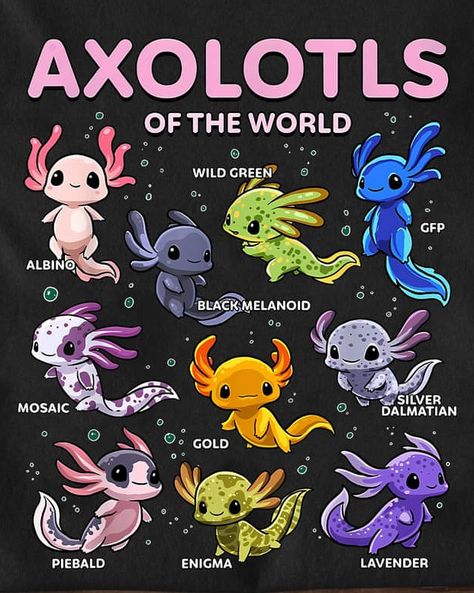 Cute Axolotl Drawings Kawaii, Axolotl Dnd Character, Cute Drawings Axolotl, Axolotl Character Design Human, Minecraft Axolotl Drawing, How To Draw An Axolotl, Oc Species Ideas, Lavender Axolotl, Cute Mystical Creatures