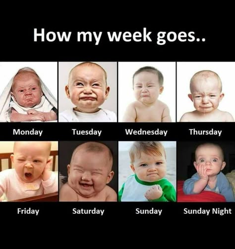 How my week goes... quotes quote days friday monday week sunday wednesday thursday saturday tuesday Minion Humor, Minion Humour, Baby Jokes, Exam Quotes Funny, Funny Baby Quotes, Quotes Humor, Funny Attitude Quotes, Funny Texts Jokes, School Quotes Funny