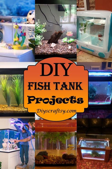 22 DIY Fish Tank Projects You Can Build Free Fish Tank Coffee Table, Fish Tank Ideas, Diy Fish Tank, Cool Fish Tanks, Mini Aquarium, Diy Aquarium, Diy Tank, Cat Proofing, Fishing For Beginners