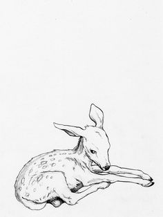 fawn Deer Flash Tattoo, Sleeping Deer Tattoo, Fawn Sketch, Tattoo Japon, Fawn Drawing, Deer Doodle, Fawn Tattoo, Cute Craft Ideas, Animal Line Drawings