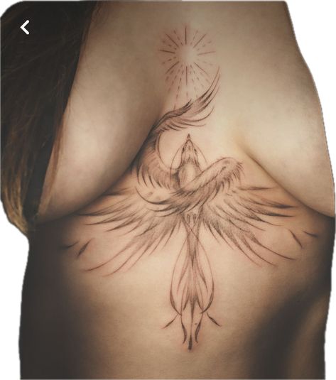 Tattoos For Women Arm Inner, Phoenix Tattoo Feminine Sternum, Phoenix Tramp Stamp Tattoo, Phoenix Stomach Tattoos Women, Sternum Bird Tattoo, Pheonix Tattoo For Women Simple, Phenix Tattoo For Women Ribs, Phoenix Stomach Tattoo, Sternum Tattoo Women Ideas