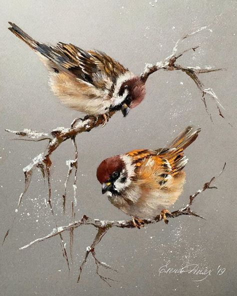 Pin by Sabina Tasheva on ♔ ART: Pastel | Soft pastel art, Birds painting, Bird paintings on canvas Bird Paintings On Canvas, Soft Pastel Art, Bird Watercolor Paintings, Pastel Artwork, Canvas Painting Ideas, Spring Birds, Shared Folder, Bird Artwork, 수채화 그림