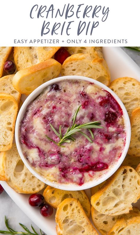 Cranberry Rosemary Baked Brie, Brie Appetizer Thanksgiving, Cranberry Brie Dip Crockpot, Christmas Dip Recipes Appetizer Ideas, Hot Brie Dip, Baked Brie Cranberry Appetizer, Brie And Raspberry Appetizer, Crockpot Brie Dip, Christmas Dips For Parties Savory