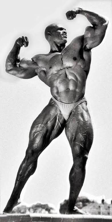 남성 근육, Bodybuilding Pictures, Man Anatomy, Ronnie Coleman, Male Pose Reference, Muscle Anatomy, Bodybuilders Men, 남자 몸, Human Anatomy Art