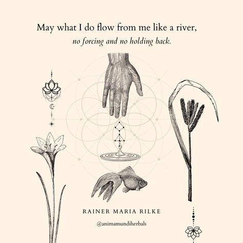 Anima Mundi, Nature Witch, Consciousness Art, Healing Words, Traditional Chinese Medicine, Spirituality Energy, Spiritual Life, Chinese Medicine, Healing Quotes