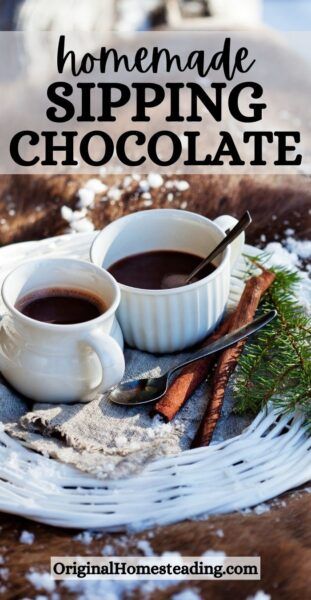 two cups of drinking chocolate on a rustic plate Sipping Chocolate Recipe, Sipping Chocolate, Drinking Chocolate, Hot Chocolate Drinks, Healthy Treat, Chocolate Powder, Powder Recipe, Chocolate Recipe, Chocolate Drinks