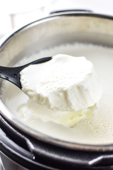 Have you ever made your own Greek yogurt at home? I make mine in the Instant Pot all the time, but I was recently wondering: Store Bought vs. Homemade Greek Yogurt: Which is Cheaper? So I did some research to find out! - ProjectMealPlan.com #greekyogurt #pricecomparison #homemadevsstorebought #homemadeyogurt Yogurt Health Benefits, Instant Pot Yogurt Recipe, Make Your Own Yogurt, Make Greek Yogurt, Instant Pot Yogurt, Homemade Greek Yogurt, Low Fodmap Diet Recipes, Best Healthy Dinner Recipes, Yogurt Dessert