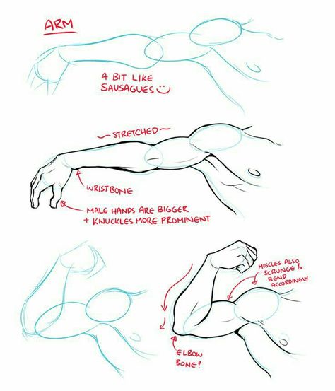 Arm, muscles, text; How to Draw Manga/Anime Anatomy Park, Arm Drawing, Art Du Croquis, Drawing Hands, Anime Hands, Sketches Art, Výtvarné Reference, Anatomy Tutorial, Body Drawing Tutorial