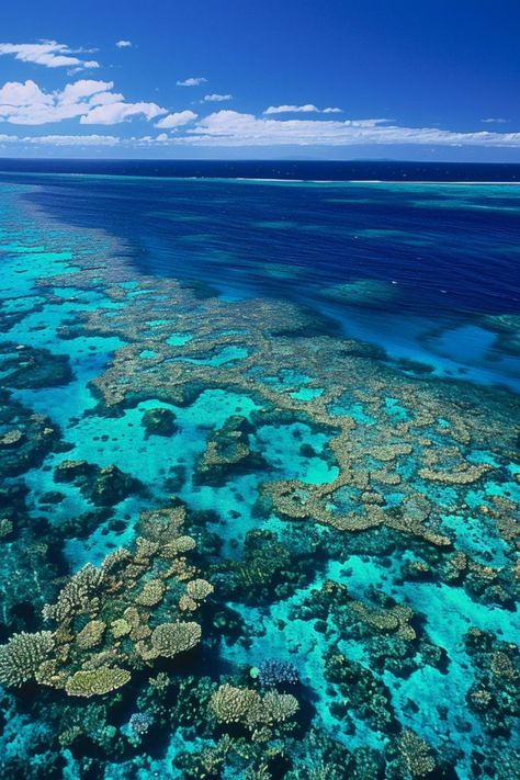 Dive into the Wonders of the Great Barrier Reef 🐠✨ Discover the vibrant marine life of the Great Barrier Reef in Australia. Snorkel or dive to explore the colorful coral reefs and diverse underwater ecosystem. 🌿🌊 #GreatBarrierReef #AustraliaTravel #MarineLife #NatureLovers Great Barrier Reef Diving, Great Barrier Reef Snorkeling, Underwater Ecosystem, Great Barrier Reef Australia, Coral Reef Ecosystem, Barrier Reef Australia, Boat Wallpaper, The Great Barrier Reef, Coral Reefs