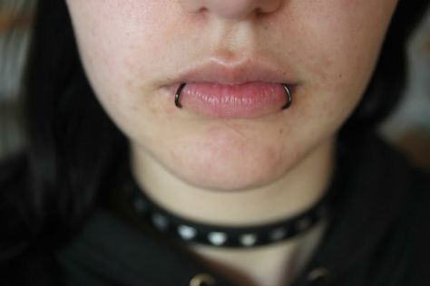 Snake Bite Piercing Lips, Snake Bites Piercing, Piercing Snake, Inner Ear Piercing, Ant Bites, Snake Bite Piercing, Piercings Ideas, Fake Lips, Snake Bite