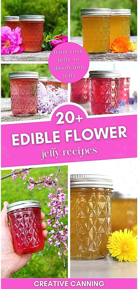 Explore our collection of 20+ Edible Flower Jelly Recipes in the Flower Jelly Recipes category. These jellies, ranging from dandelion to calendula, capture the essence of fresh blossoms. Perfect for year-round enjoyment, they're a delightful way to preserve the flavors of spring and summer flowers. Ideal for those interested in canning jelly recipes and homemade jelly. Find more water bath canning recipes at creativecanning.com. Home Made Jelly Recipes, Jelly Recipes For Canning, Canning Jelly Recipes, Foraged Recipes, Creative Canning, Canning Jelly, Fruit Jelly Recipe, Recipes For Canning, Floral Jelly