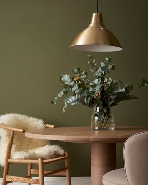 Porter's Paints on Instagram: “Our sophisticated 'Timberline' is soft yet confident, making a lovely colour choice in any living space. ​. ​. ​. ​#porterspaints #porters…” Porter Paint Colors, Khaki Walls, Olive Green Bedrooms, Olive Green Walls, Porter Paint, Green Home Decor, Living Room Green, Green Interiors, Green Rooms