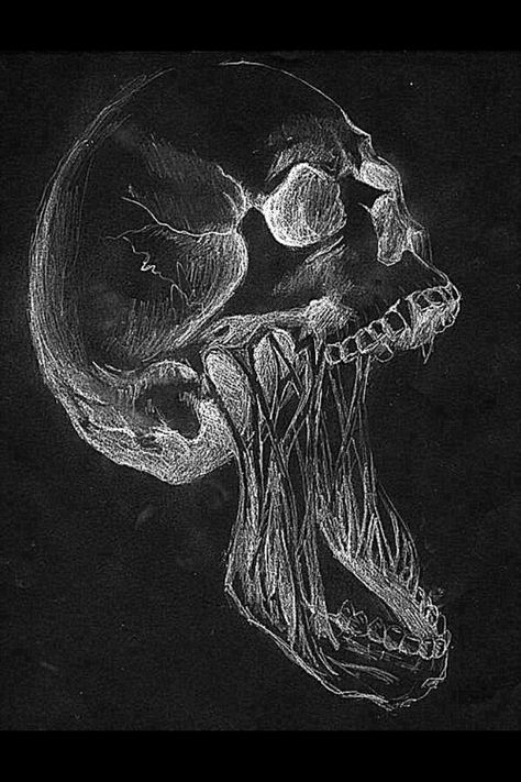 Skull White Drawing, Human Skull, Black And White, Human, White, Black, Art