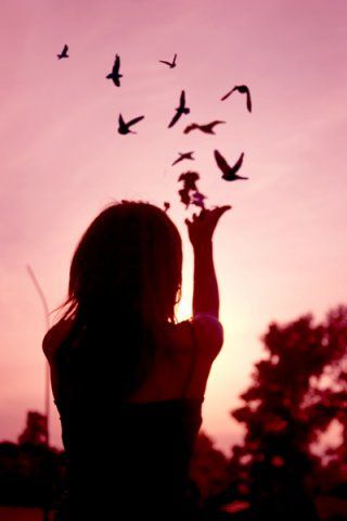 <3 Birds Flying, Free Spirit, The Sun, A Woman, Birds, Sun, Pinterest Likes, Saying Goodbye, Quotes