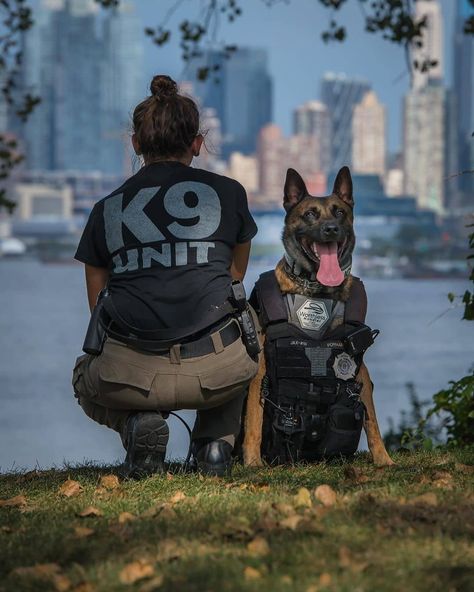 580 kedvelés, 3 hozzászólás – K9S POLICE (@k9spolice) Instagram-hozzászólása: “Ewing PD ofc B. Fornarotto and her partner K9 Jax. ➖ 🚔🐶Follow @k9spolice 👈for more! 🐶 @_k9_jax 📷…” Police Officer Appreciation Gifts, Cop Dog, K9 Police Dogs, Police Academy Training, K9 Police, Fun Police, K9 Officer, Police Canine, Dog Soldiers