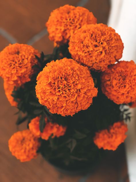 Marigold Aesthetic, Diy Diwali Decorations, Beautiful Flowers Photography, Iphone Wallpaper Hipster, Arte Van Gogh, Plant Guide, Marigold Flower, Nothing But Flowers, Orange Aesthetic