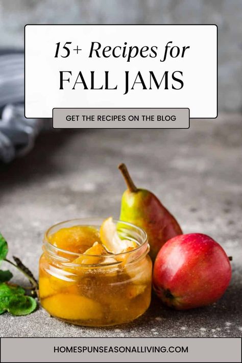 Make the most of the Autumn Harvest season with these easy and tasty fall jam recipes for apples, cranberries, and more! Fall Jams And Jellies, Fall Jam Recipes, Recipes For Apples, Apple Jam Recipe, Fall Jams, Farmhouse Recipes, Apple Jam, Fruit Preserves, Harvest Time