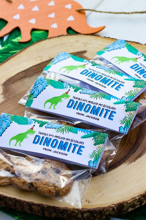 Dino Pool Party, Three Rex Birthday Party, Dinosaur Cakes, Prehistoric Party, Dinosaur Birthday Theme, Dinosaur Party Supplies, Party Dinosaur, Treat Bag Toppers, Dinosaur Balloons