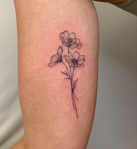 3 Flowers Tattoo Small, Cornelia Flower Tattoo, Cosmos Birth Flower Tattoo, Daisy And Sweetpea Tattoo, Cosmo And Marigold Flower Tattoo, Cosmos Flower Tattoos, Cosmos Flower Tattoo October, Cosmo Flower Drawing, October Birth Flower Tattoo Cosmos