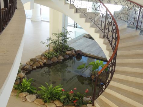 The space under the stairs is the perfect space for a small… Small Garden Under Stairs, Indoor Pond, تحت الدرج, Kolam Koi, Fish Pond Gardens, Under The Stairs, Stair Case, Bottle Garden, Home Stairs Design