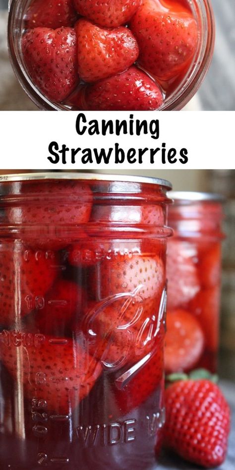 Can Strawberries, Canning Strawberries, Canning Fruit Recipes, Canning Water, Canned Strawberries, Pressure Canning Recipes, Canning Fruit, Home Canning Recipes, Canning Vegetables