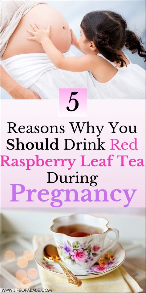 Raspberry Tea Pregnancy, Red Raspberry Leaf Tea Pregnancy, Rasberry Leaf Tea, Raspberry Leaf Tea Benefits, Raspberry Leaf Tea Pregnancy, Spearmint Tea Benefits, Red Raspberry Tea, Red Raspberry Leaf Tea, Pregnant Drinks