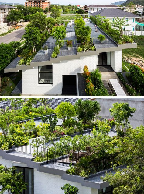 Contemporary house with rooftop terraced garden design Rooftop Garden Urban, Green Roof Garden, Urban Garden Design, Terrace Garden Design, Living Roofs, Roof Architecture, Green Architecture, Rooftop Garden, Kew Gardens