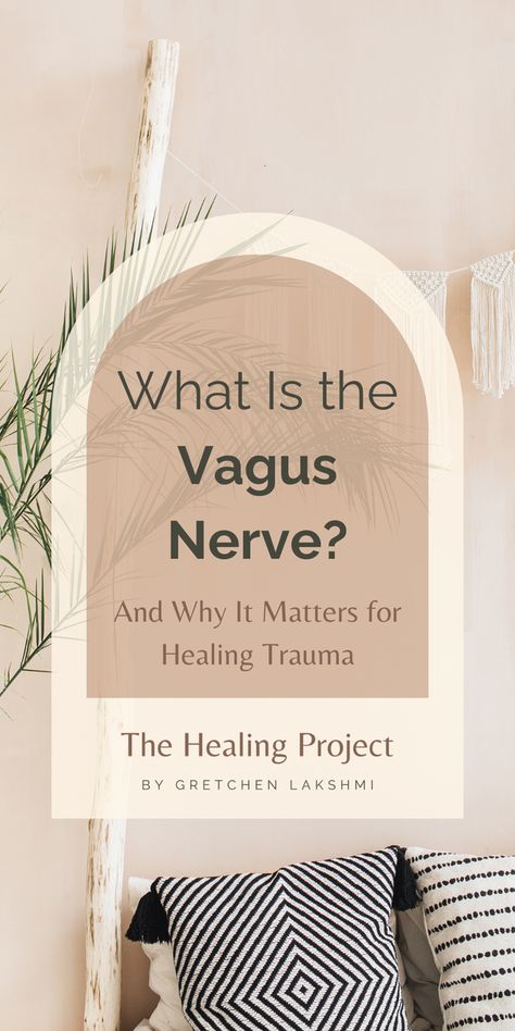 What Is the Vagus Nerve? And Why It Matters for Healing Trauma What Is The Vagus Nerve, Vagus Nerve Damage Symptoms, Vagus Nerve Stimulating, Vagus Nerve Exercises, Vagal Nerve Exercises, Vagus Nerve Healing, Vegas Nerve, Vagus Nerve Damage, Vagus Nerve Stimulator