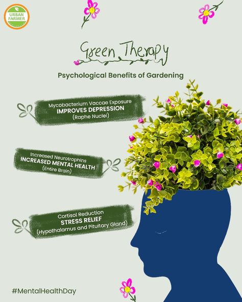 Eco Therapy, Cortisol Reduction, Green Therapy, Nature Therapy, Mental Health Activities, Benefits Of Gardening, Getting Outside, Psychology Says, Urban Farmer