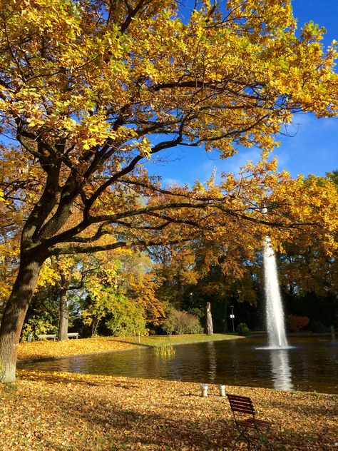 autumn in bavaria, augsburg, germany Autumn In Germany, Baden Baden Germany, Baden Germany, Augsburg Germany, Fall Aesthetics, Autumn Breeze, Fall Feels, Falling Leaves, Cozy Fall