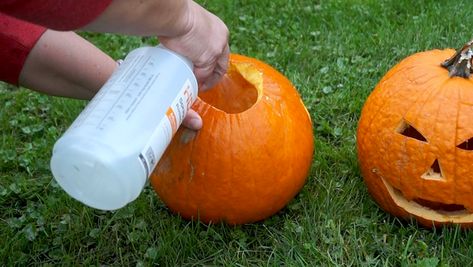 Pumpkin Spray, Jack O Latern, Jack Lantern, Jack O Lantern Faces, Weather News, Halloween Jack O Lanterns, Halloween Jack, Pumpkin Faces, Halloween Season