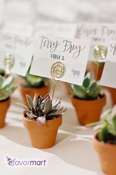 Succulent Party Favors, Succulent Wedding Centerpieces, Wedding Name Tags, Wedding Plants, Place Card Holders Wedding, Succulent Wedding Favors, Wedding Place Names, Garden Theme Wedding, Wedding Name Cards