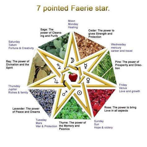 7 pointed star meaning | The seven-pointed star, also known as the Elven Star, or Faerie Star ... Pagan Symbols, Spell Book, Book Of Shadows, The Seven, Sacred Geometry, Runes, Reiki, Ritual, Chakra