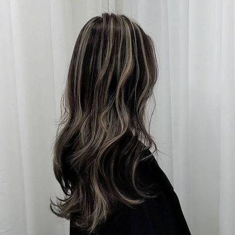 Blond Black Highlights, Y2k Highlights Hair Short, Long Layered Hair Highlights, Asian Grunge Hair, Black And White Aesthetic Hair, Brunette Hair Hazel Eyes Pale Skin, Blonde Ends On Brown Hair Short, Black Hair With White Stripes, Skunk Hair Layered