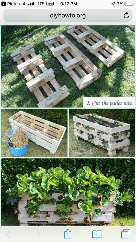 Palette Planter, Potager Palettes, Plantarea Legumelor, Kebun Herbal, Diy Garden Landscaping, Tabletop Planter, Taman Diy, Vertical Vegetable Garden, Strawberry Garden