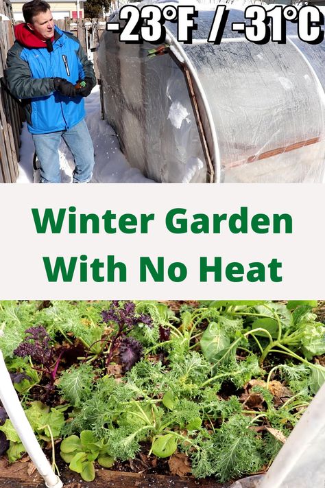 Winter Gardening Ideas, Greenhouse Winter, Winter Garden Ideas, Heating A Greenhouse, Diy Greenhouse Plans, Winter Greenhouse, Outdoor Greenhouse, Homesteading Ideas, Winter Gardening