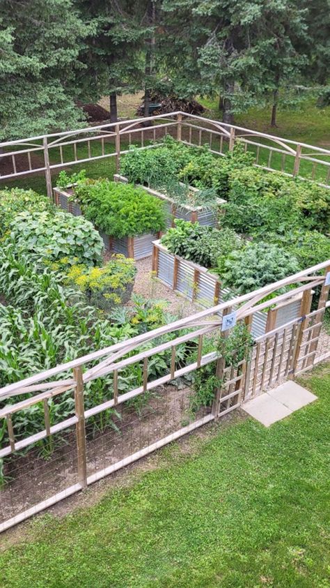 overhead view of finished vegetable garden High Fenced Garden, Raised Bed And In Ground Garden, Protected Garden Beds, Raised Garden Beds Fence, Raised Perimeter Garden Beds, Long Lasting Raised Garden Beds, Vegetable Garden Against House, Multiple Raised Garden Beds Layout, Raised Garden Bed Plans Layout