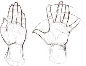 Helpful Harrie Palm Facing Up Drawing, Palm Of Hand Reference, Hand Reference Open Palm, Hand Palm Reference, Open Palm Drawing, Hands Open Drawing, Open Palm Reference, Palm Hand Drawing, Open Hands Drawing