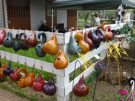 Birdhouse Gourds Wood Burning Techniques, Gourds Birdhouse, Decorative Gourds, Gourds Crafts, Painted Gourds, Gourd Art, Small Plants, Birdhouse, Outdoor Projects