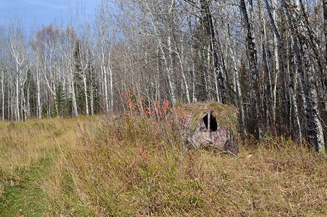 ground blind tips Diy Hunting Blinds, Deer Hunting Stands, Blind Ideas, Hunting Stands, Deer Stands, Ground Blinds, Compound Bows, Hunting Club, Deer Blind