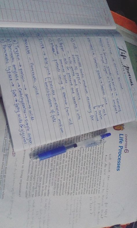 Biology Notes Class 10 Aesthetic, Biology Notes Life Processes, Biology Life Process Notes, Class 10 Handwritten Notes, Life Processes Biology Notes Aesthetic, Class 10 Bio Notes Life Process, Life Processes Biology Notes Class 10, Life Processes Biology Notes Class 10 Aesthetic, Class 10 Aesthetic Notes