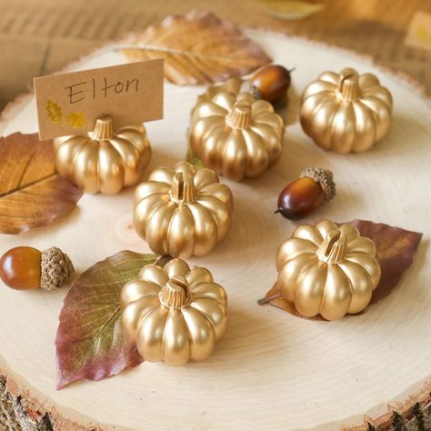 "Find the Kate Aspen® Mini Gold Pumpkin Place Card Holder Set at Michaels. com. Our golden pumpkin place card holders are the cutest multi-functional decorating tool! Our golden pumpkin place card holders are the cutest multi-functional decorating tool! I say tool because you will be using these for all seasons for so many reasons. They are about two inches tall and come in a generous set of six. Designed with the highest quality materials so that they last for years to come. They are great of c Thanksgiving Table Setup, Halloween Table Settings, Diy Place Cards, Place Settings Thanksgiving, Gold Pumpkin, Table Halloween, Place Card Holder, Gold Pumpkins, Pumpkin Cards